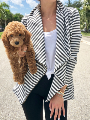 Athena Athleisure Jacket