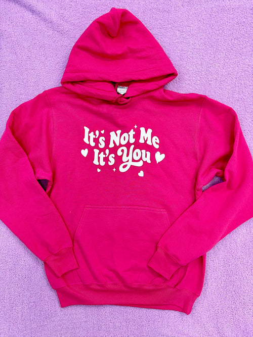 It's Not Me, It's You Hoodie